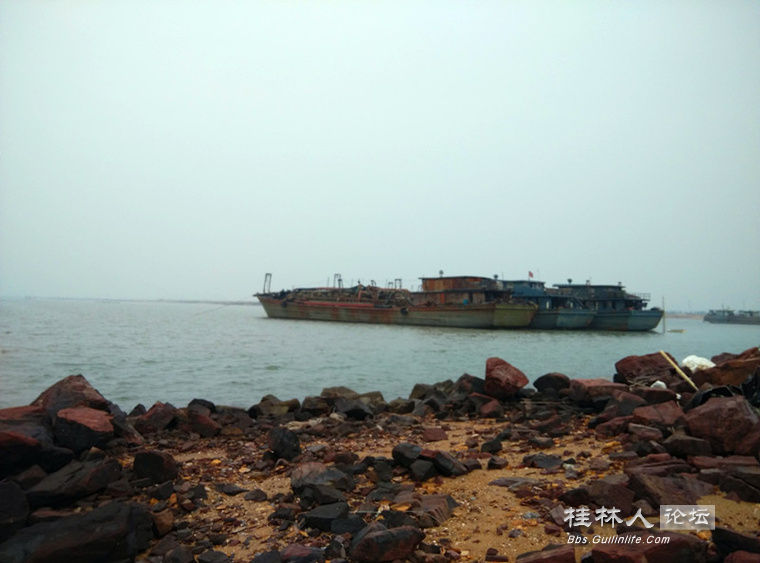 钦州海鲜_海鲜图片大全_海鲜疙瘩汤