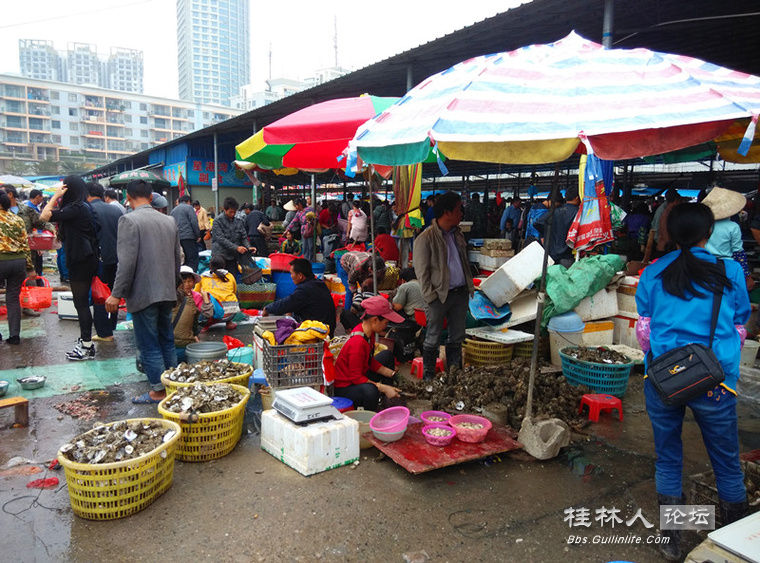 钦州海鲜_海鲜图片大全_海鲜疙瘩汤