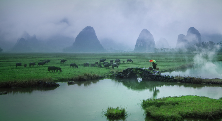 桂林地区有多少人口_桂林游记