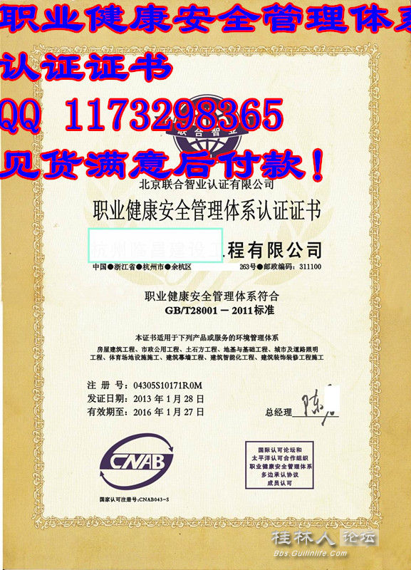 收入证明范本_平安收入证明范本(3)