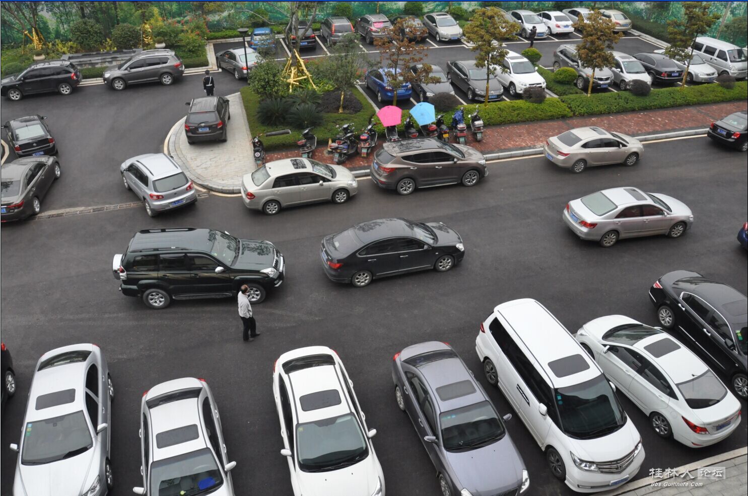 qq抢车位辅助_幽默视频抢车位_qq抢车位怎么卖车