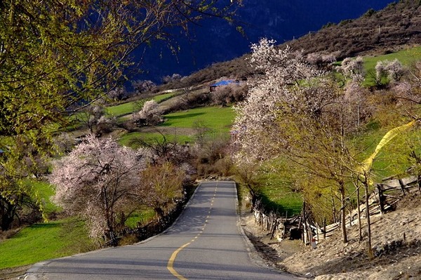 4月9号川藏南线经稻城亚丁到拉萨从青藏线返