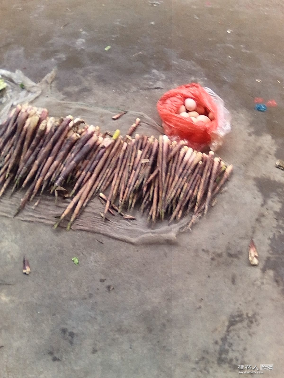 乡下的拜笋跌到2元一斤,几周前还卖10元 - 桂林