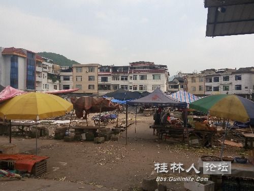 永福县百寿镇经济总量_永福县堡里镇抗洪图片