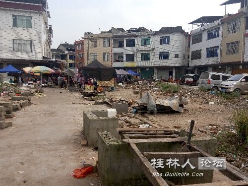 永福县百寿镇经济总量_桂林永福县百寿镇村委