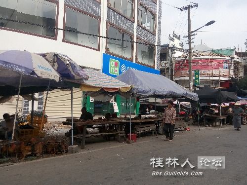 永福县百寿镇经济总量_永福县堡里镇抗洪图片