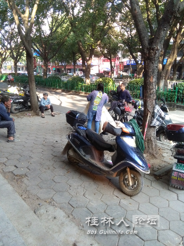 路边理发摊生意也兴隆 - 桂林新闻报料 桂林人