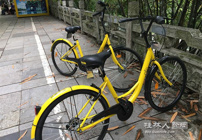 小黄车受欢迎被抢光啦,但是你们忘了曾经的公