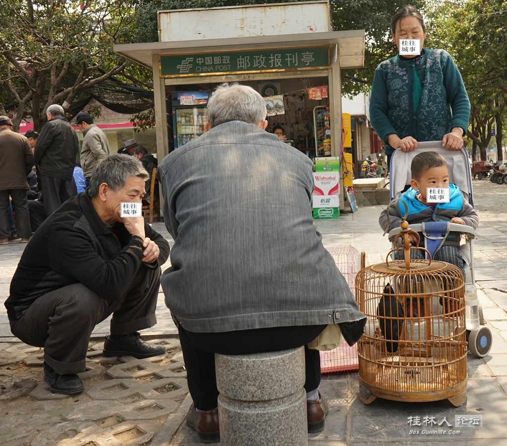 人口前百姓_中国三十年前人口