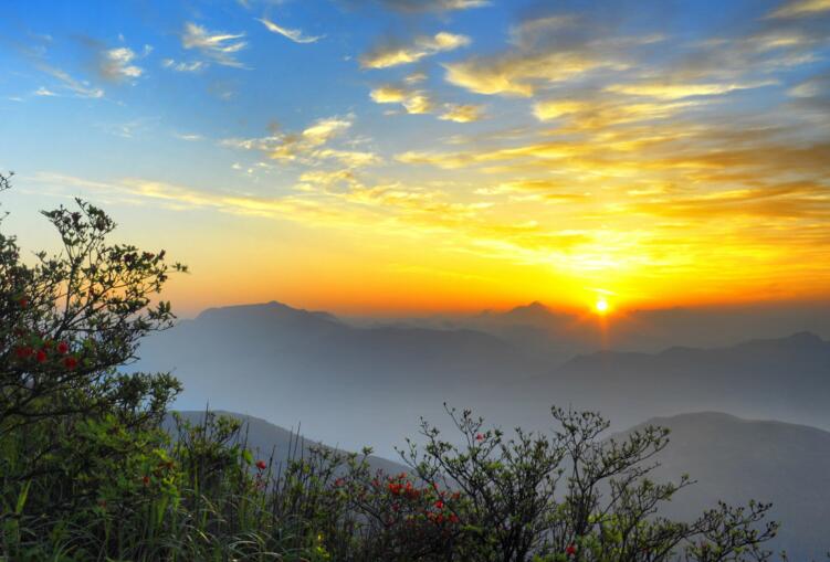 姑婆山帐篷节丨到姑婆山来一场说走就走的露营