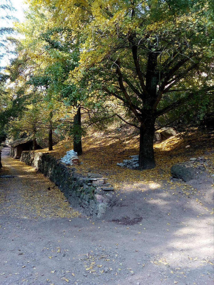 灵川县属于哪个市