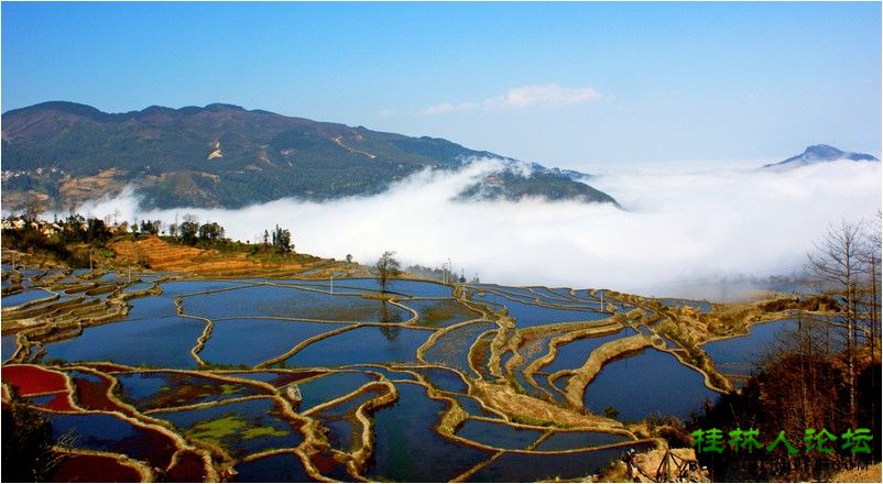 为什么叫三湘大地 1203171305c0387a0bc0902d80.jpg