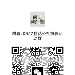 我的相册
