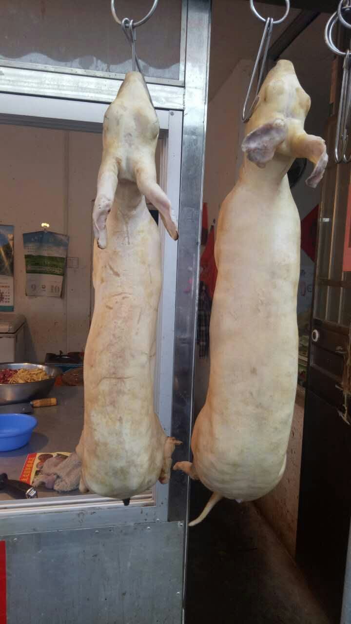 第2页 - 游山玩水 塞班岛娱乐城