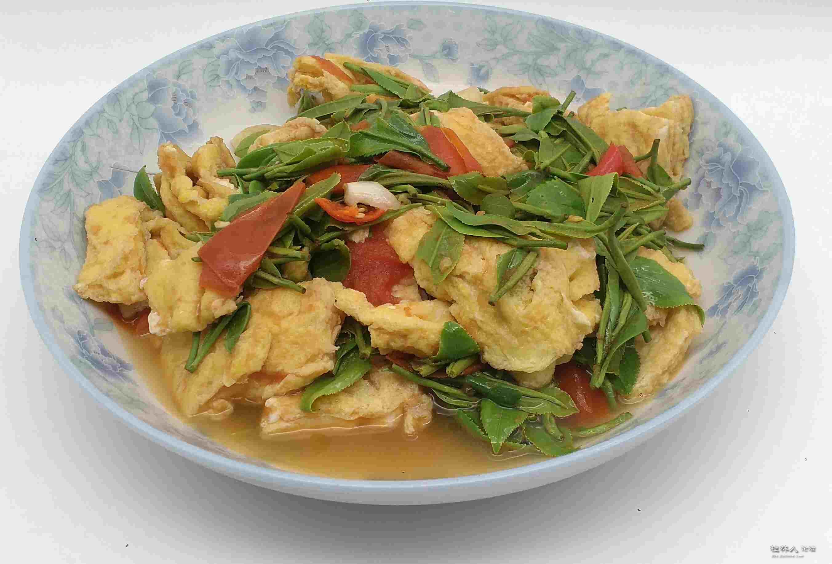 2017年来个茶叶炒蛋(塞班岛娱乐茶叶)