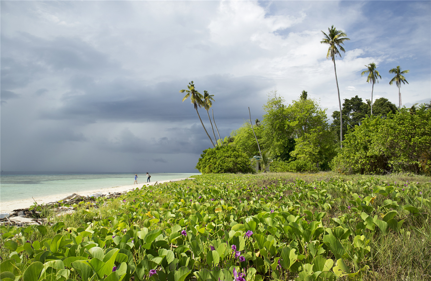 【三月三游记】那本仙境——马来西亚仙本那美景 - 游山玩水 塞班岛