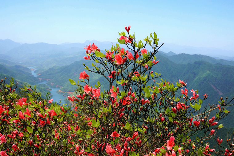 青山绿水 碧草红花,大自然就是如此地如诗如画