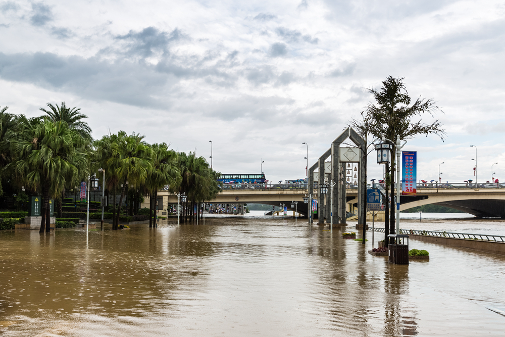昨天滨江路解放桥下的洪水