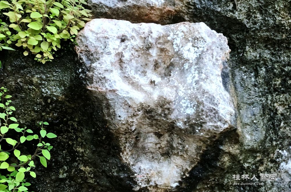 ͼ201906130813155282.png