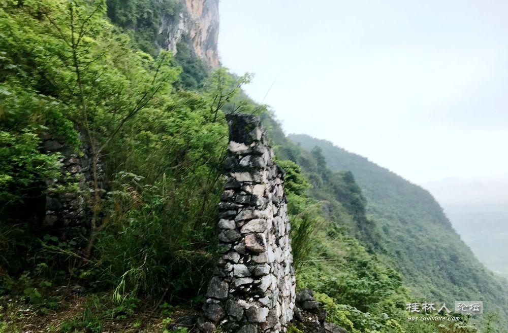 ͼ201906130813184280.png