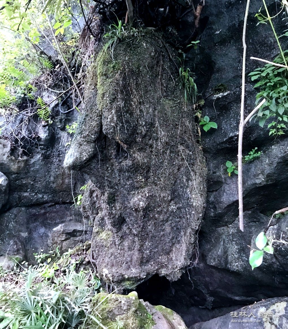 ͼ201906130813189030.png