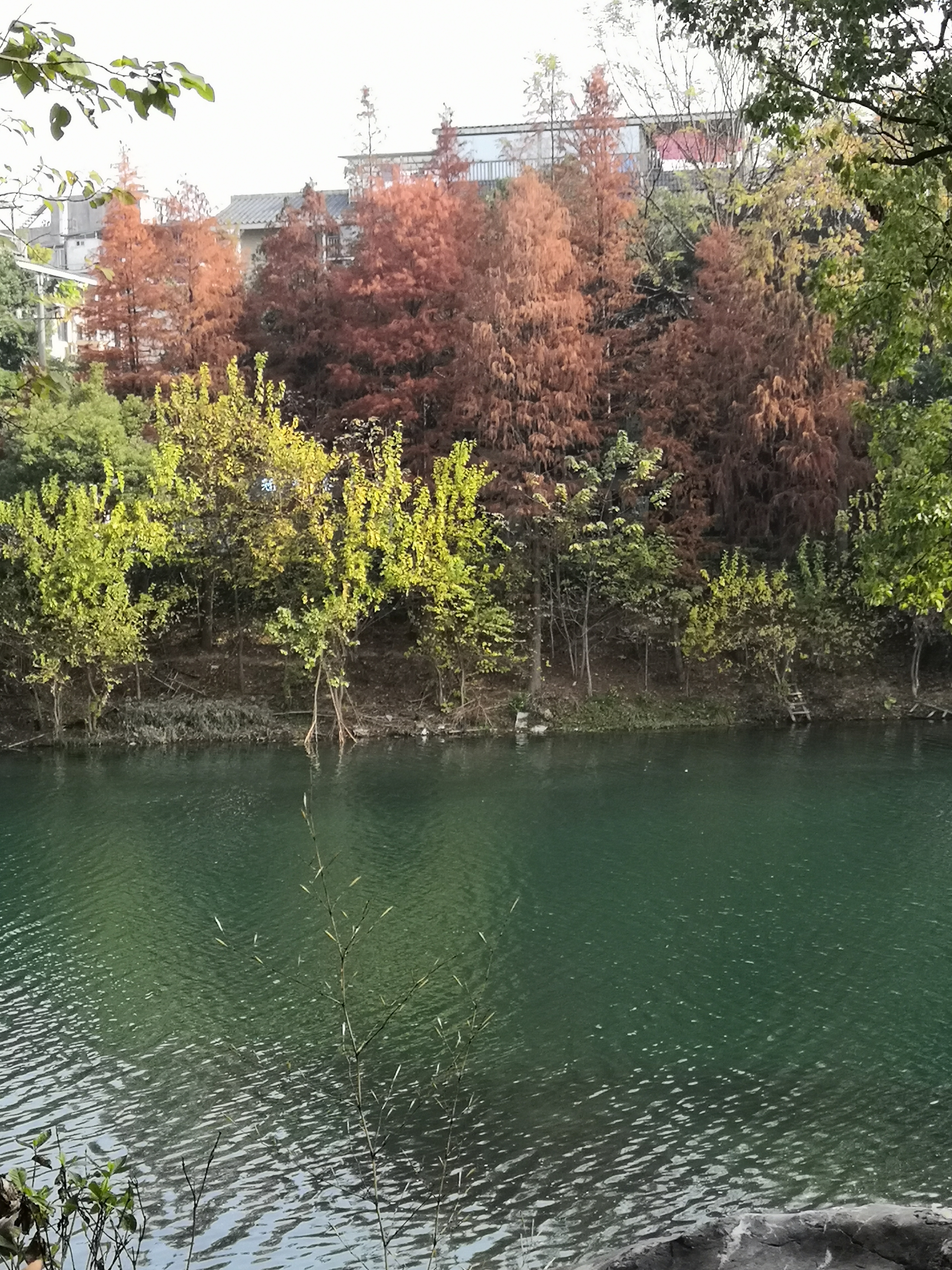 IMG_20230101_104737.jpg