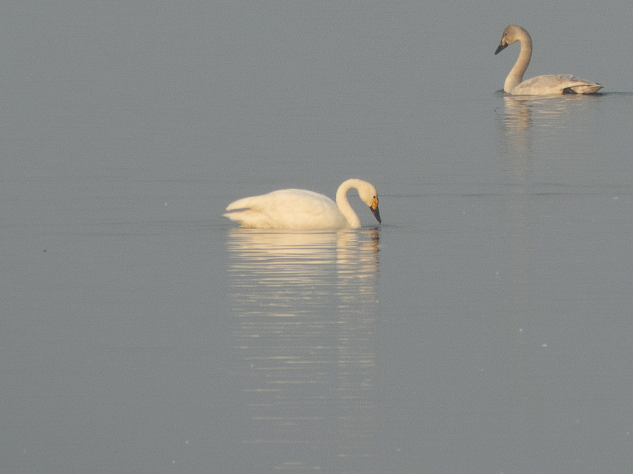 DSC05881__.jpg