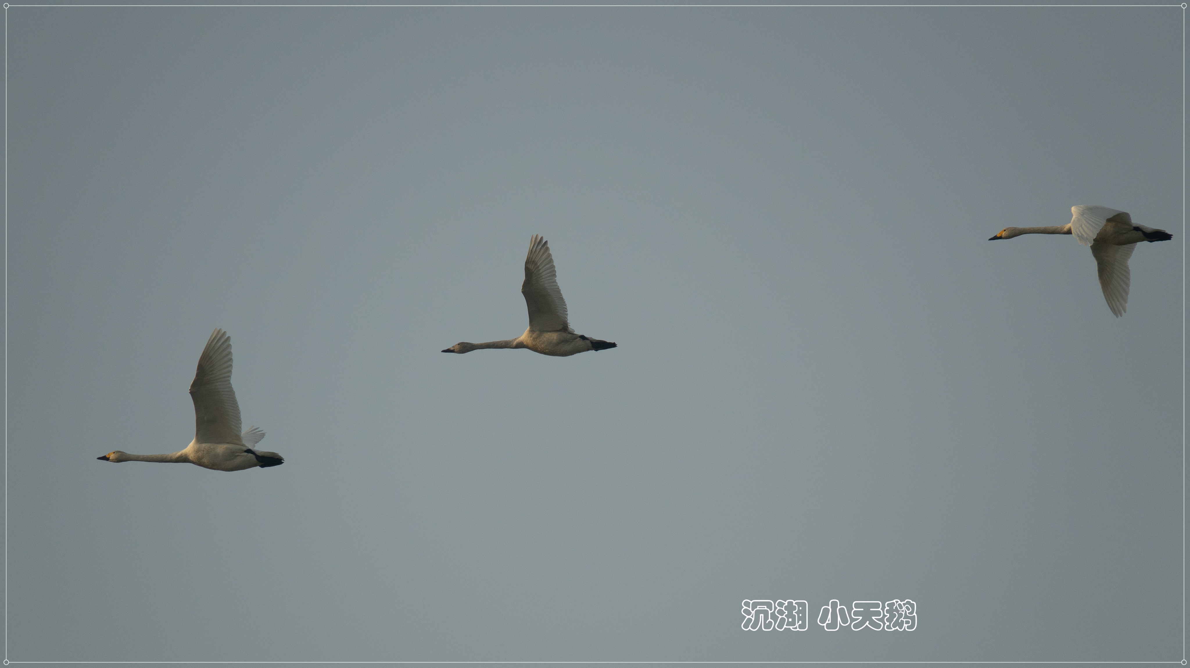 DSC07162_.jpg
