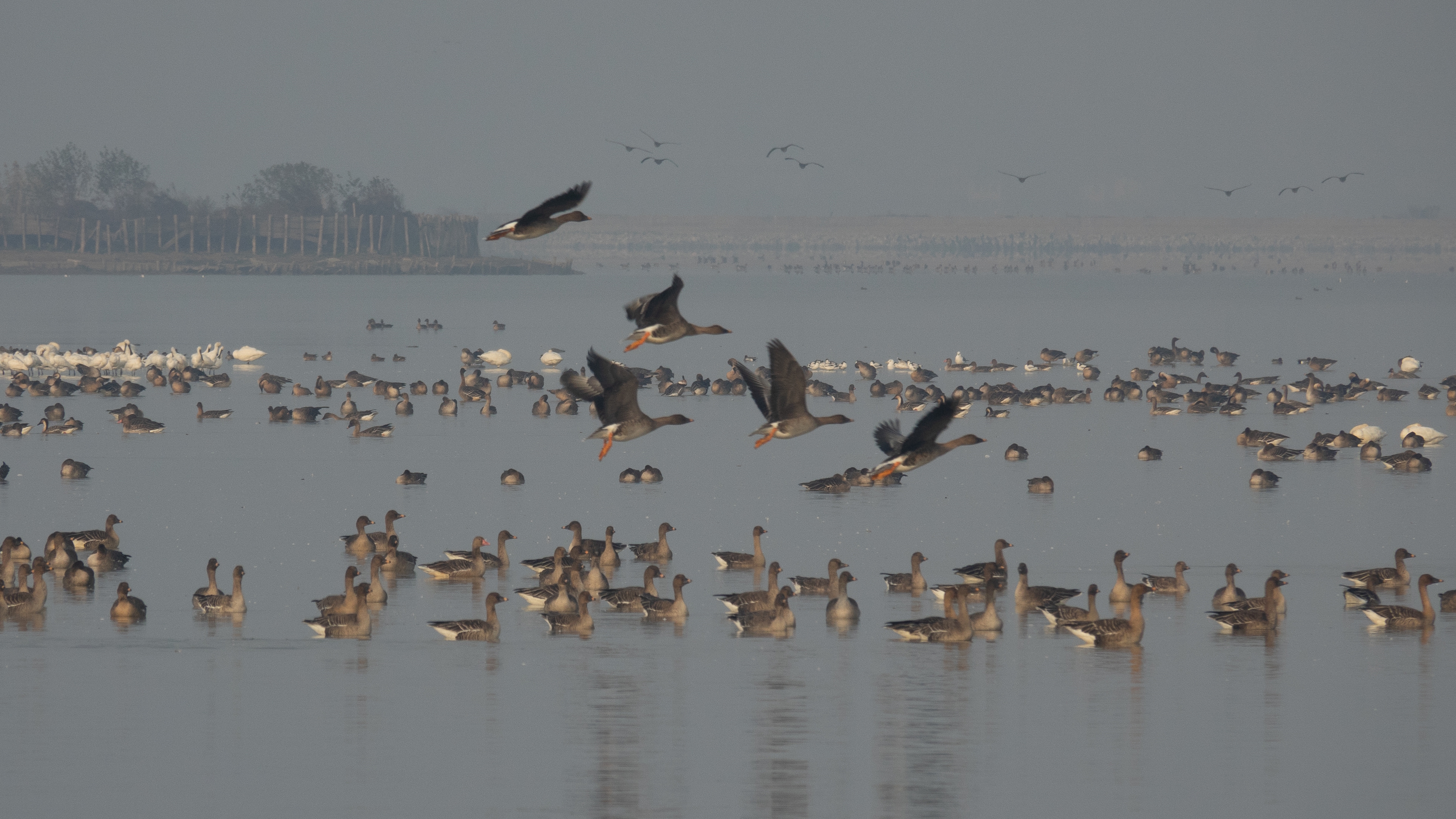 DSC06037 - _.jpg