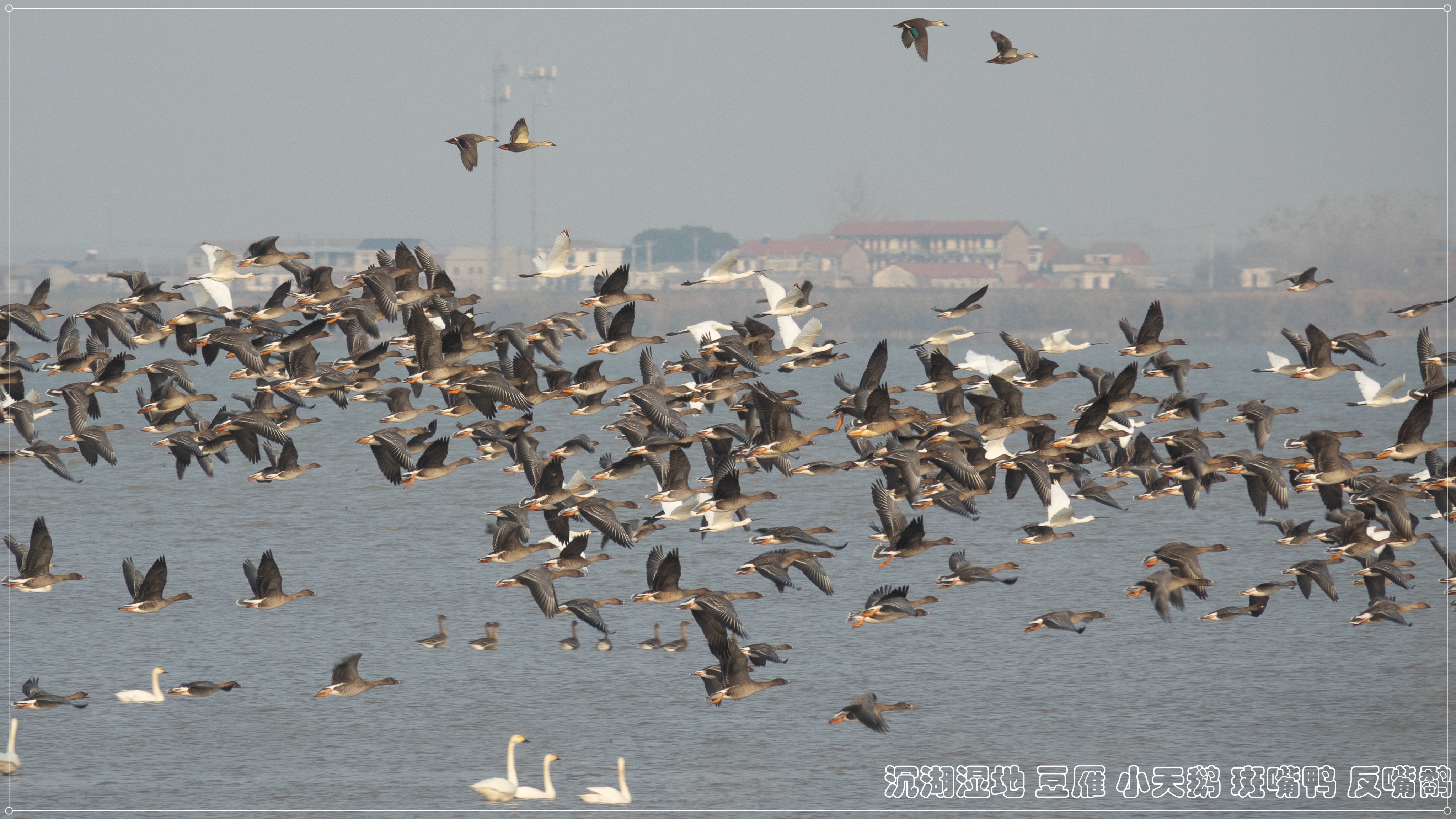 DSC05153_.jpg