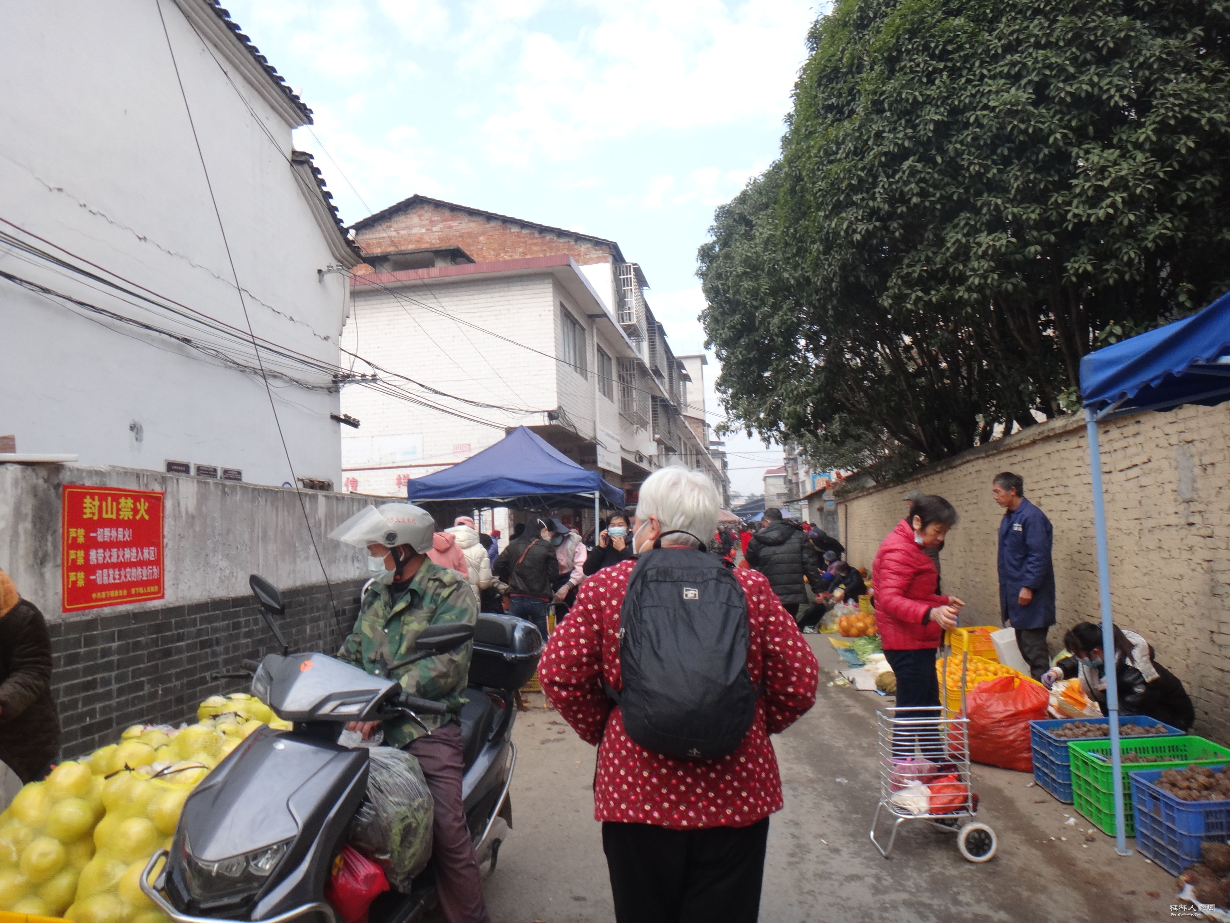 DSC02763.JPG