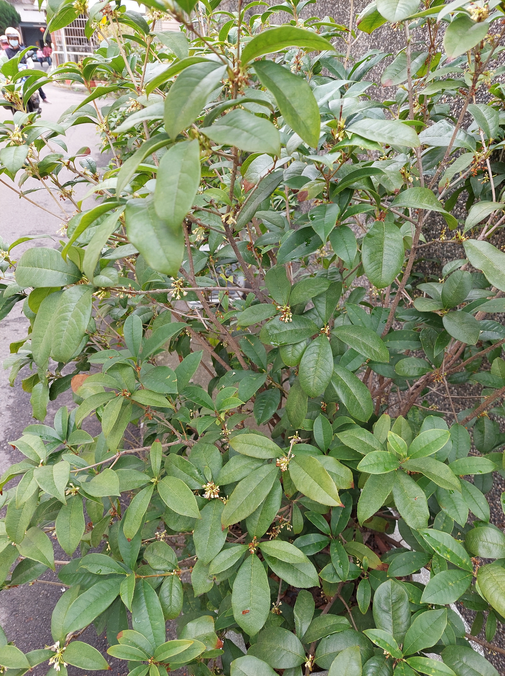 20230109_124421.jpg