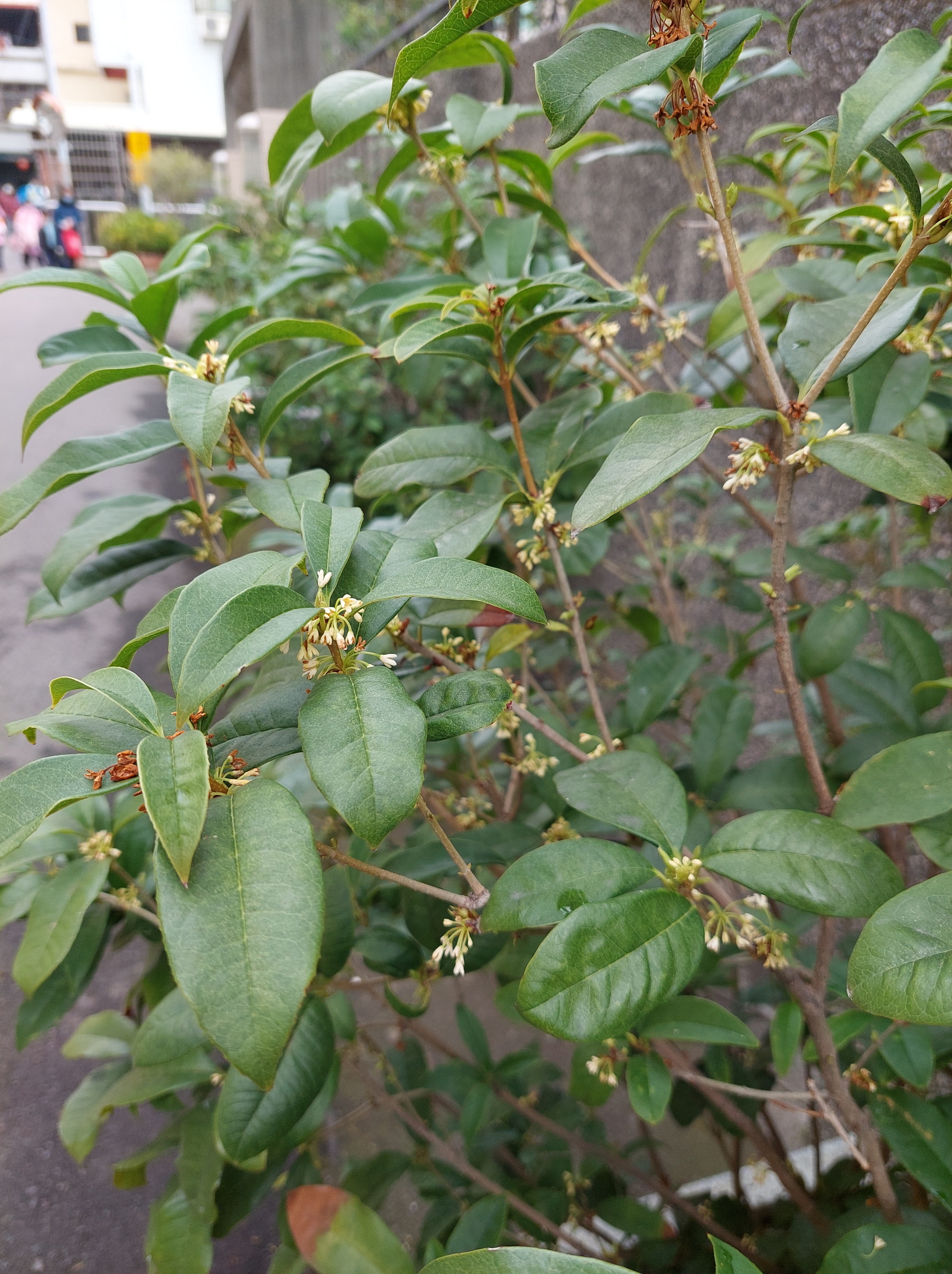 20230109_124430.jpg