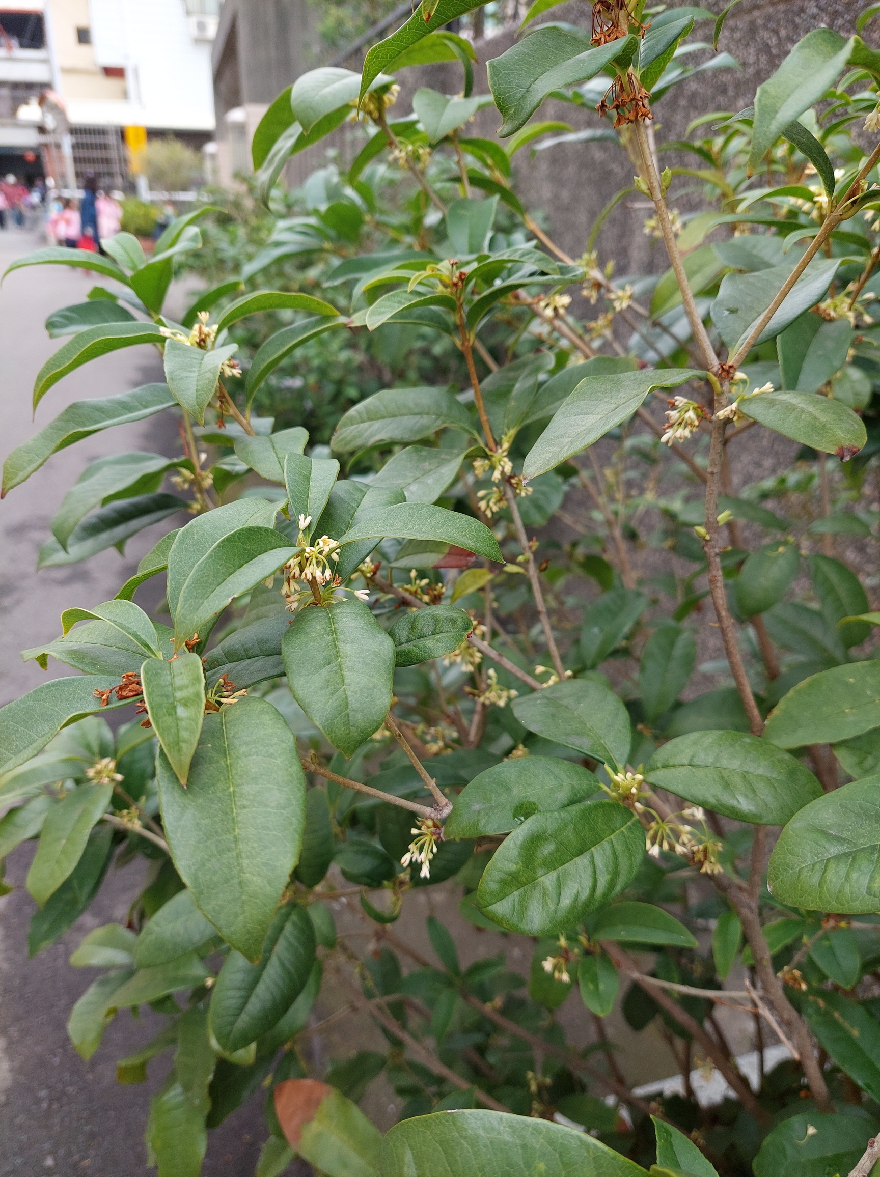 20230109_124433.jpg