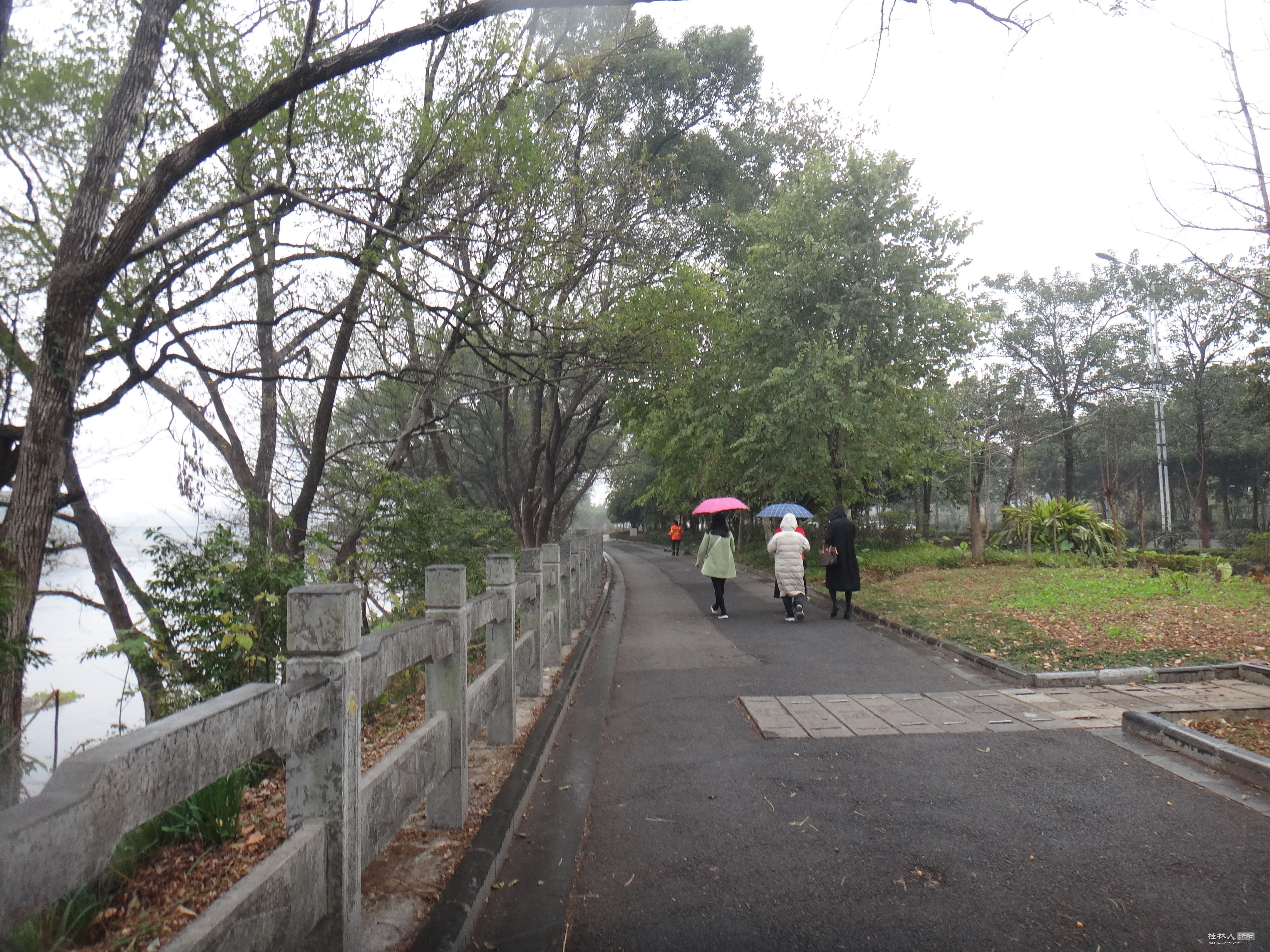 DSC02817.JPG