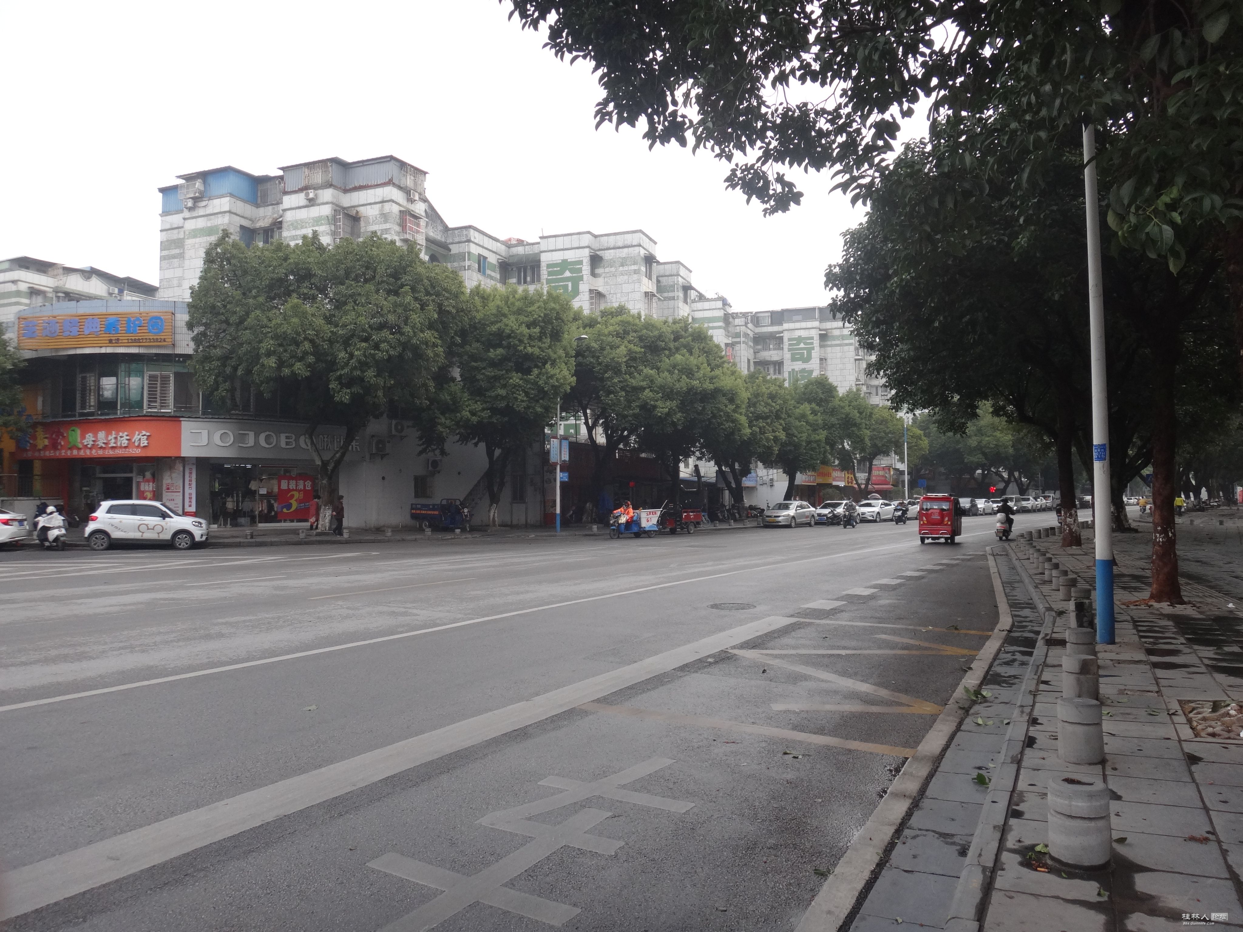 DSC02806.JPG