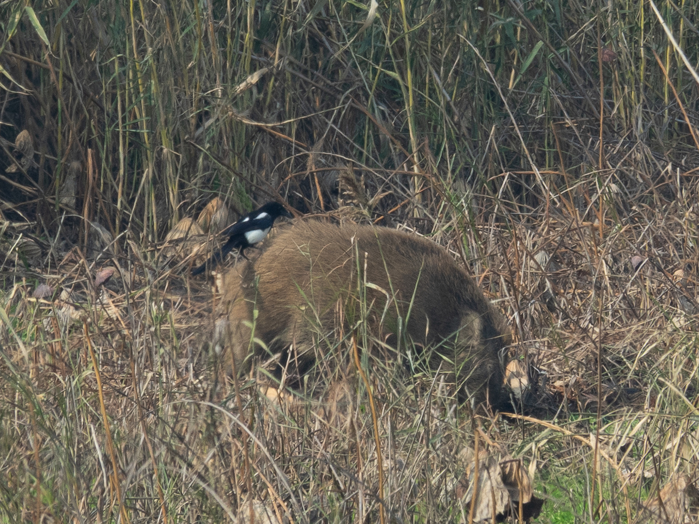 DSC06597_.jpg