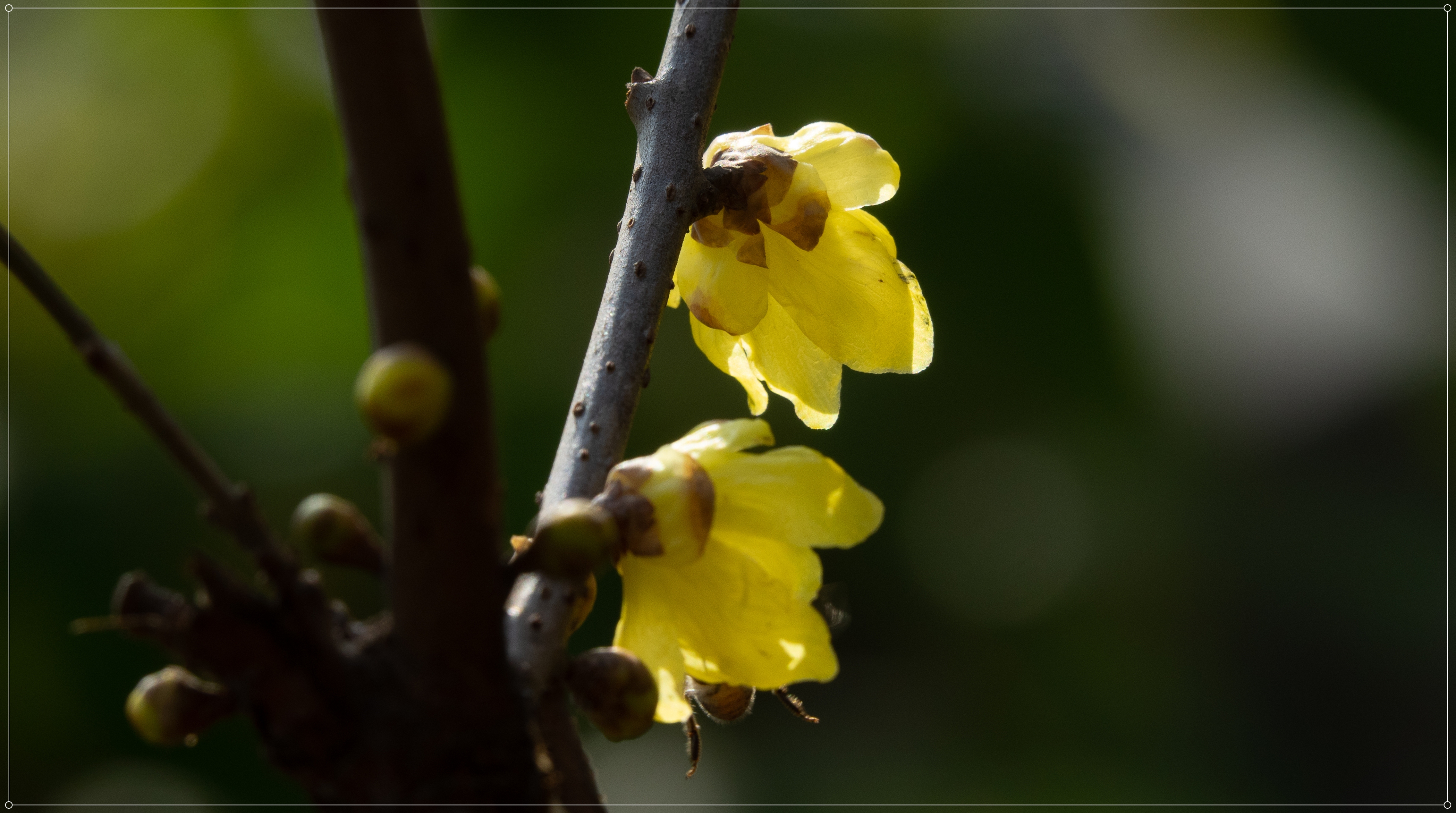 DSC00240_.jpg