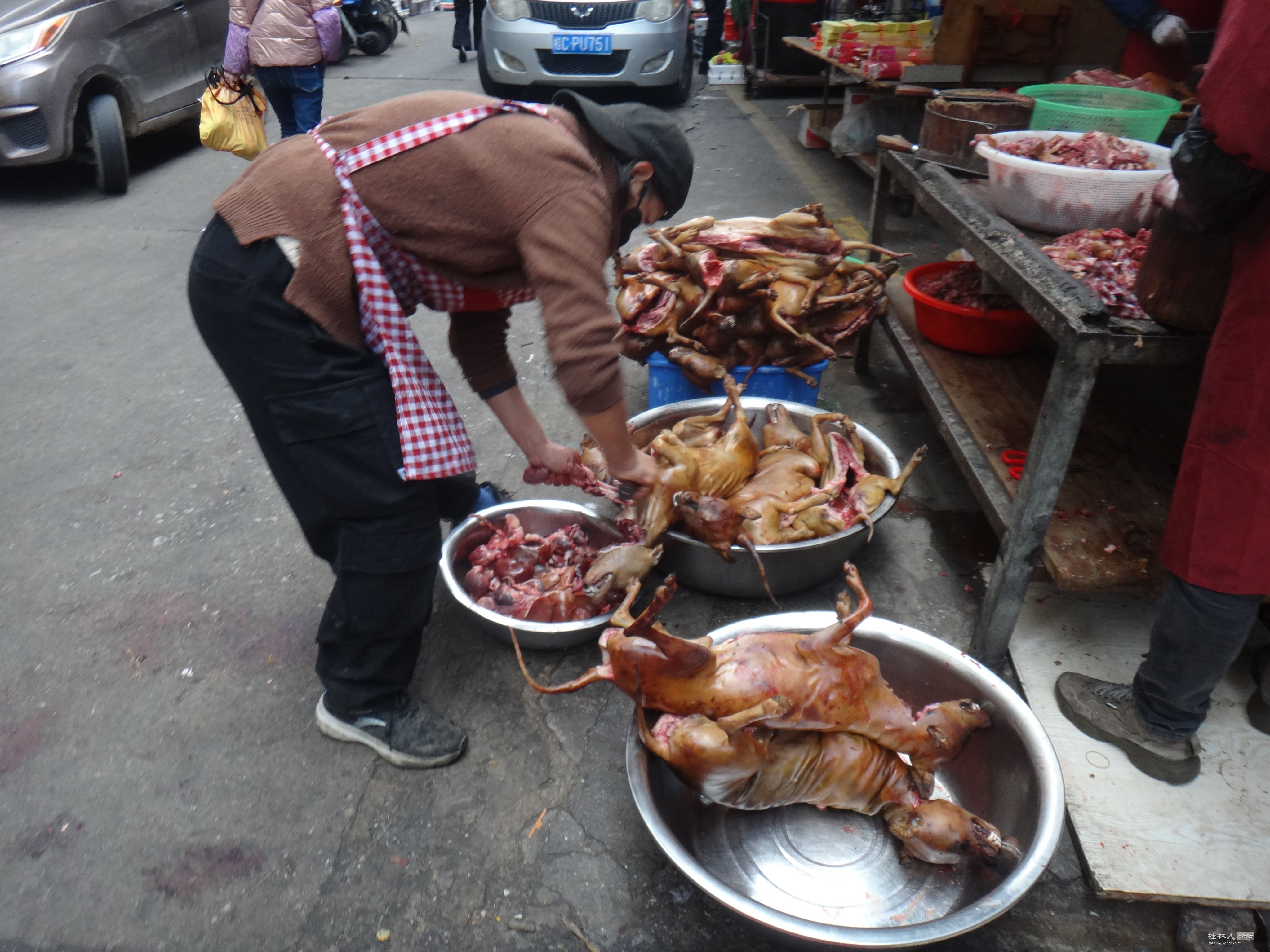 DSC02848.JPG