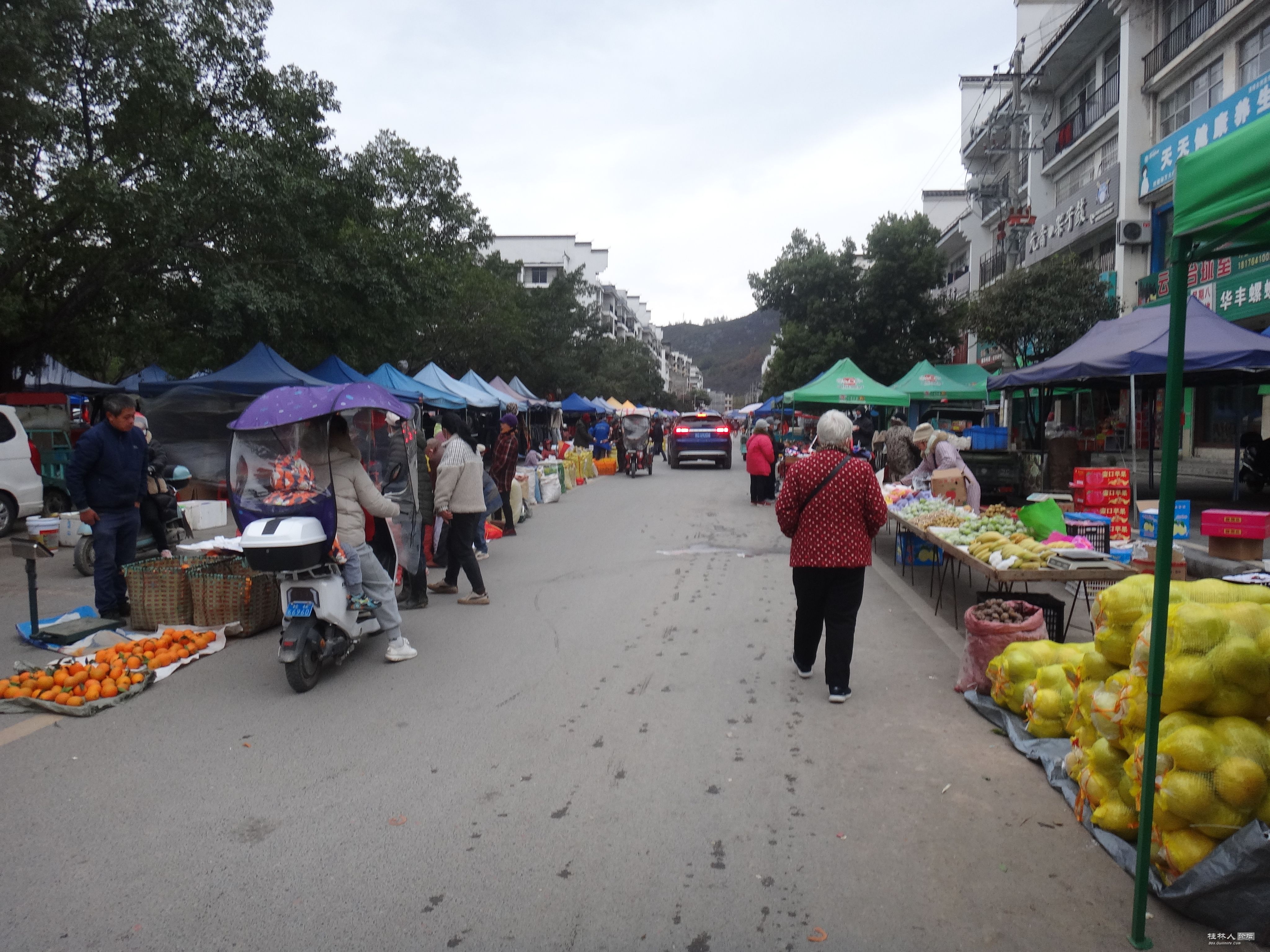 DSC02875.JPG