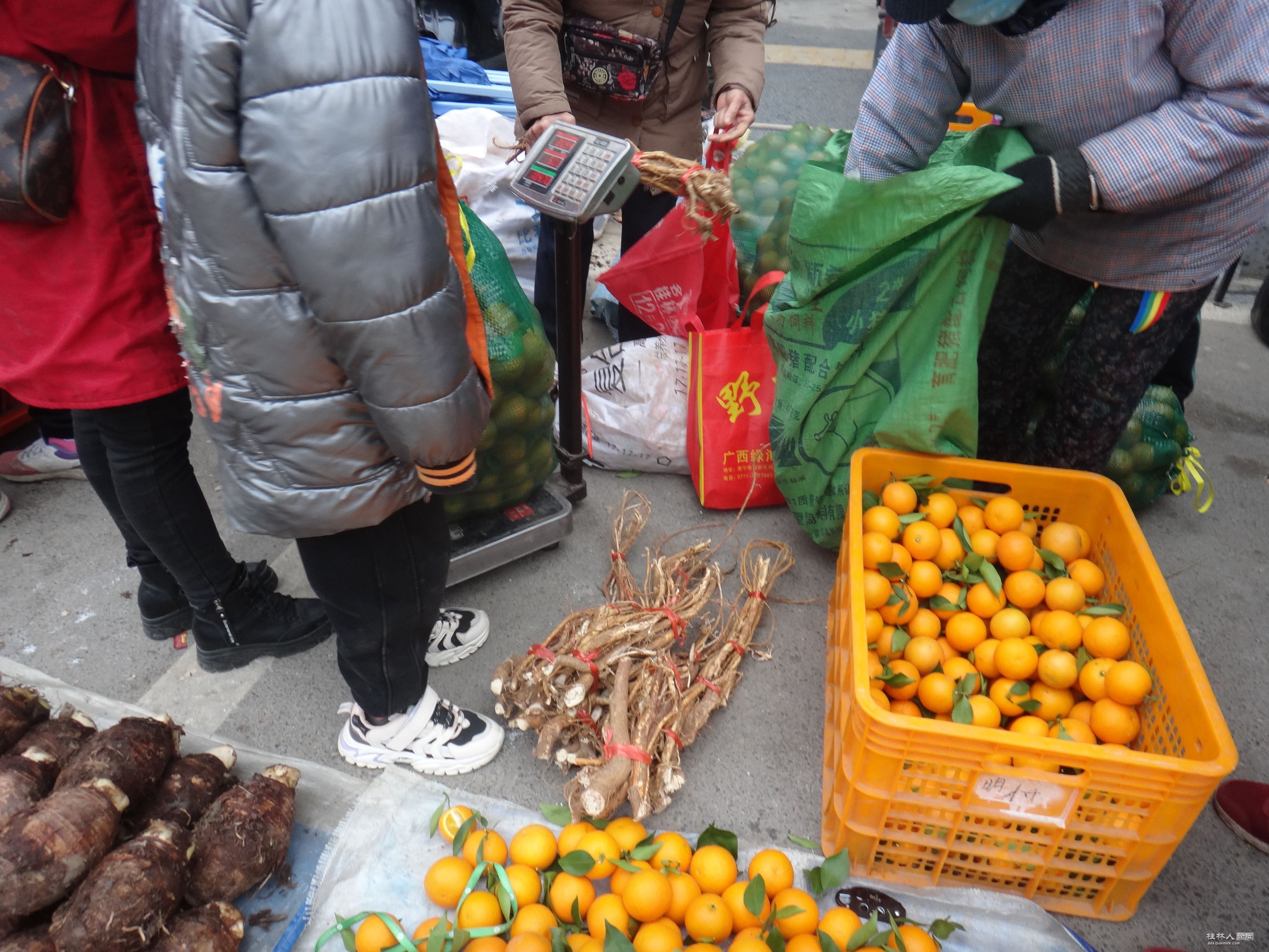 DSC02878.JPG