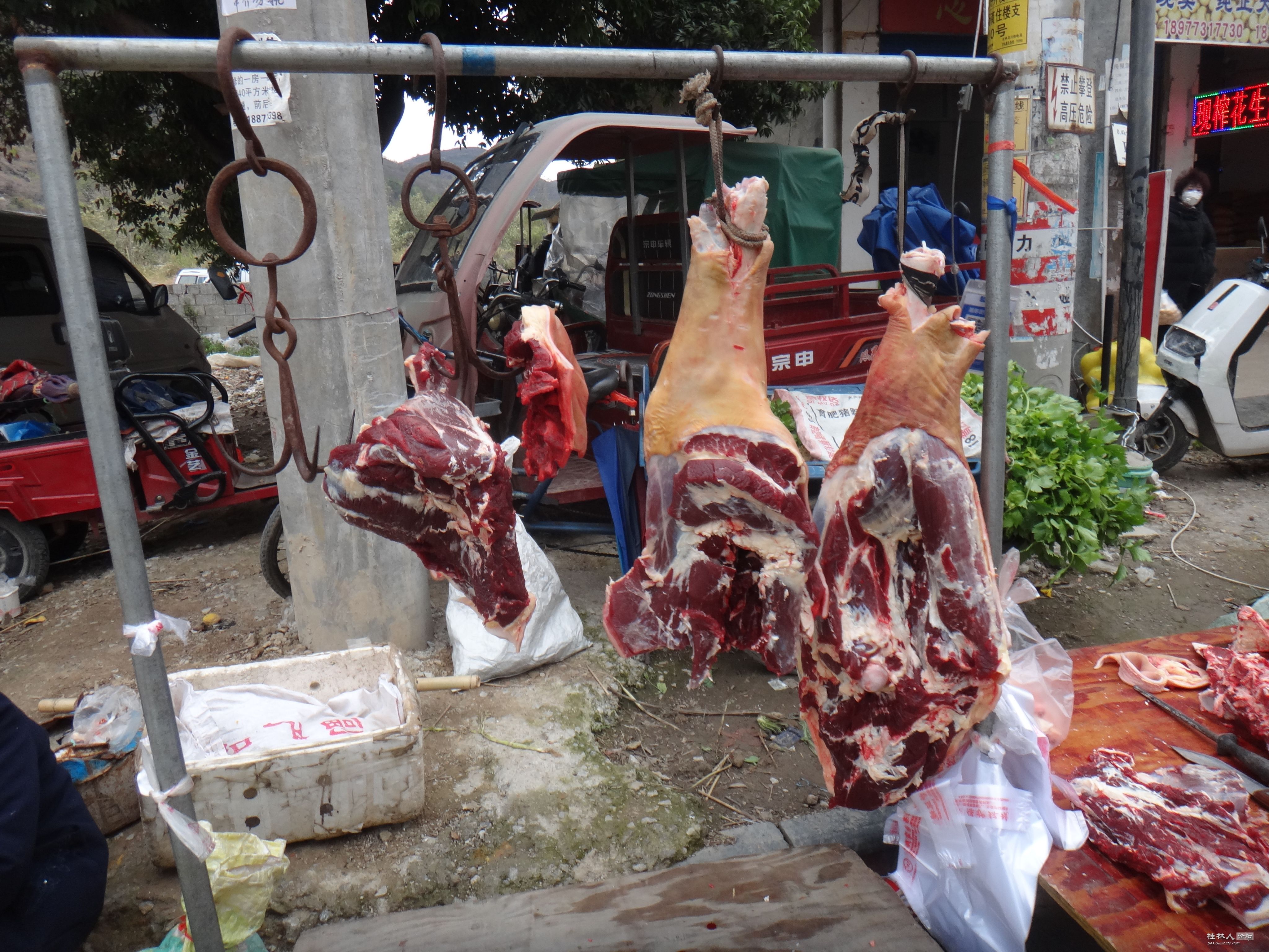 DSC02888.JPG