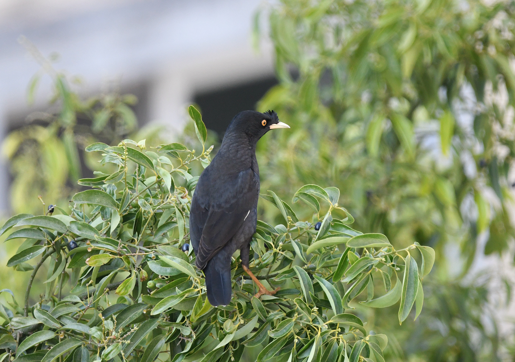 DSC_1122_.jpg