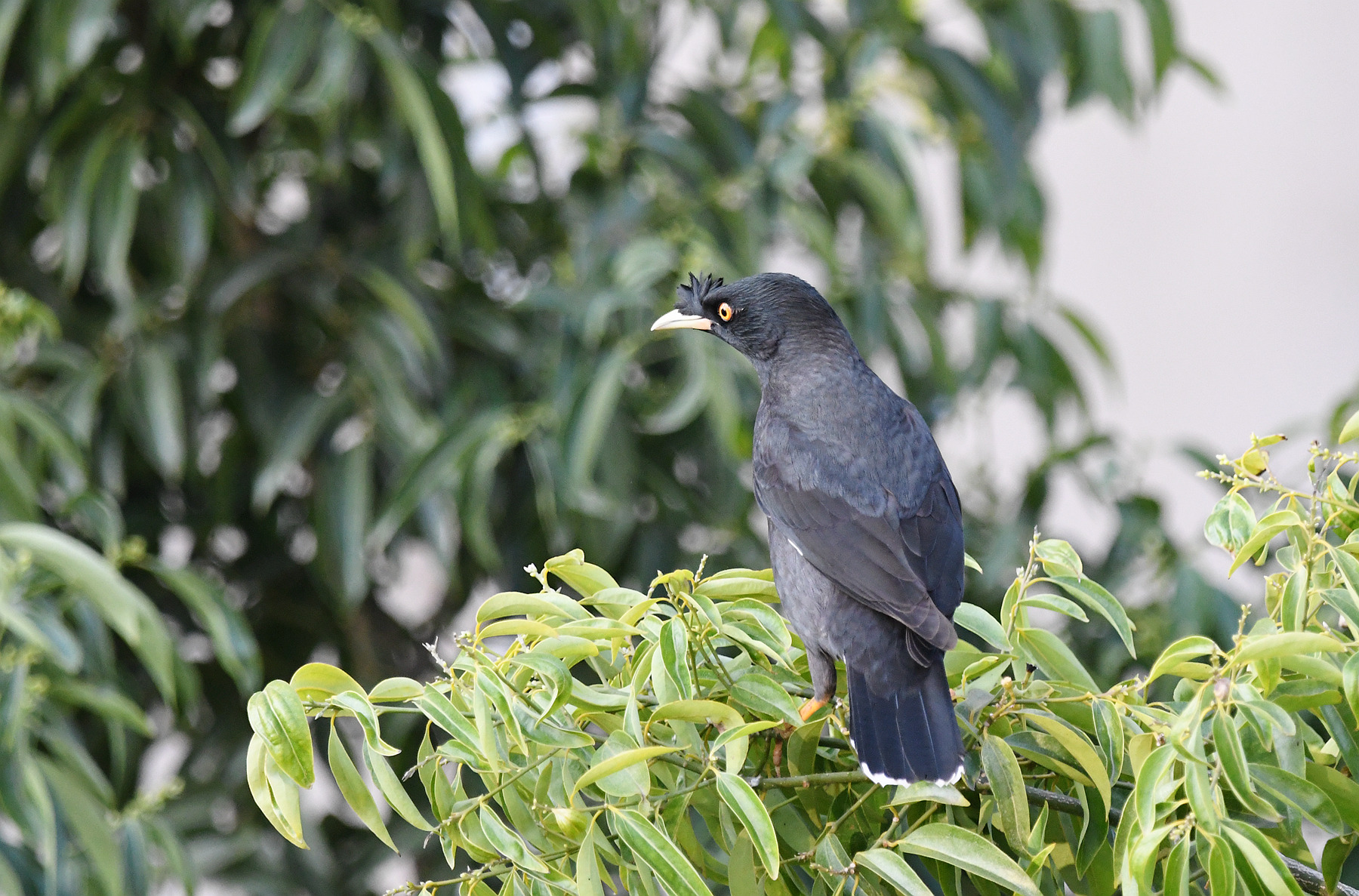 DSC_1439_.jpg