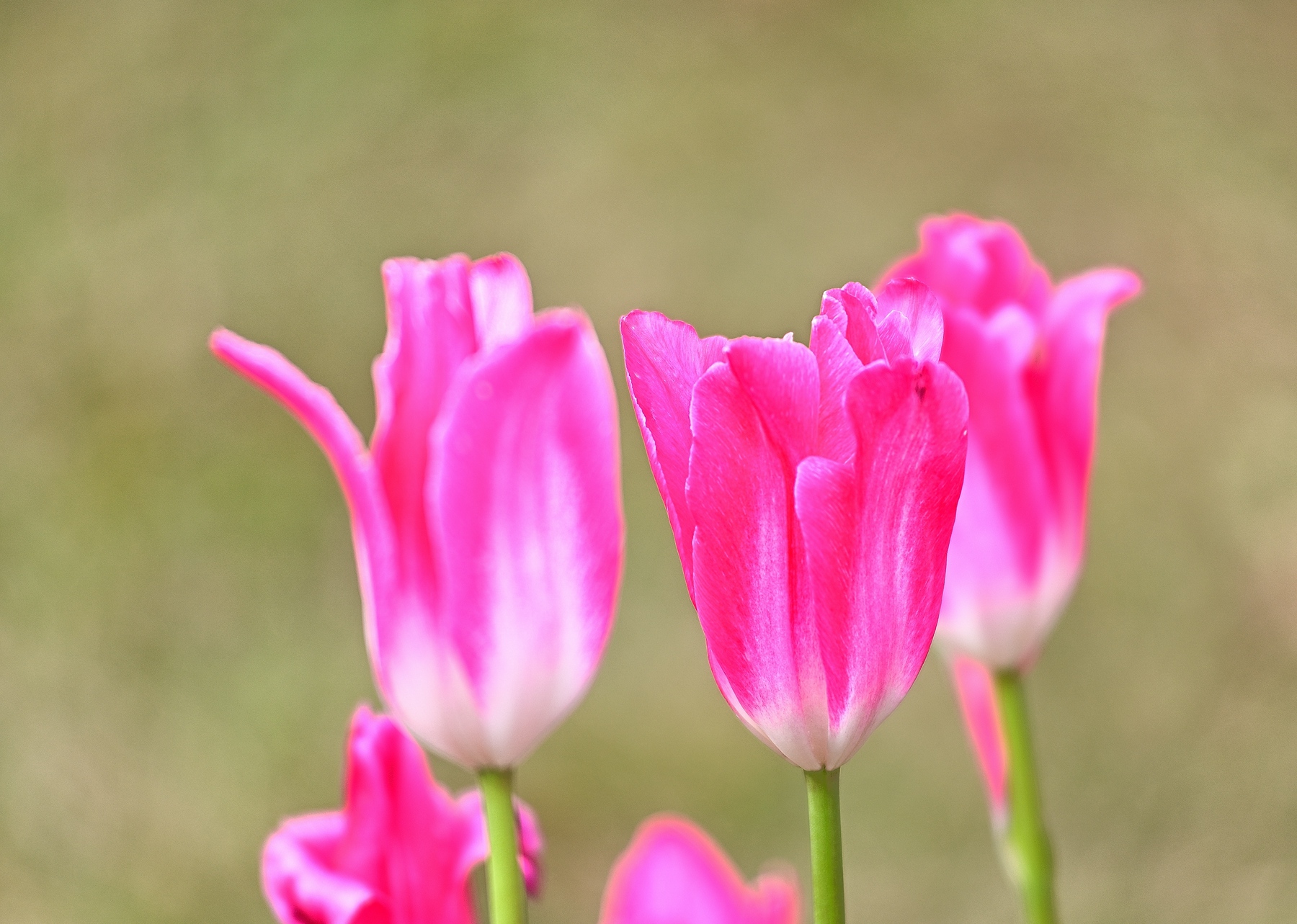 DSC_7650.JPG