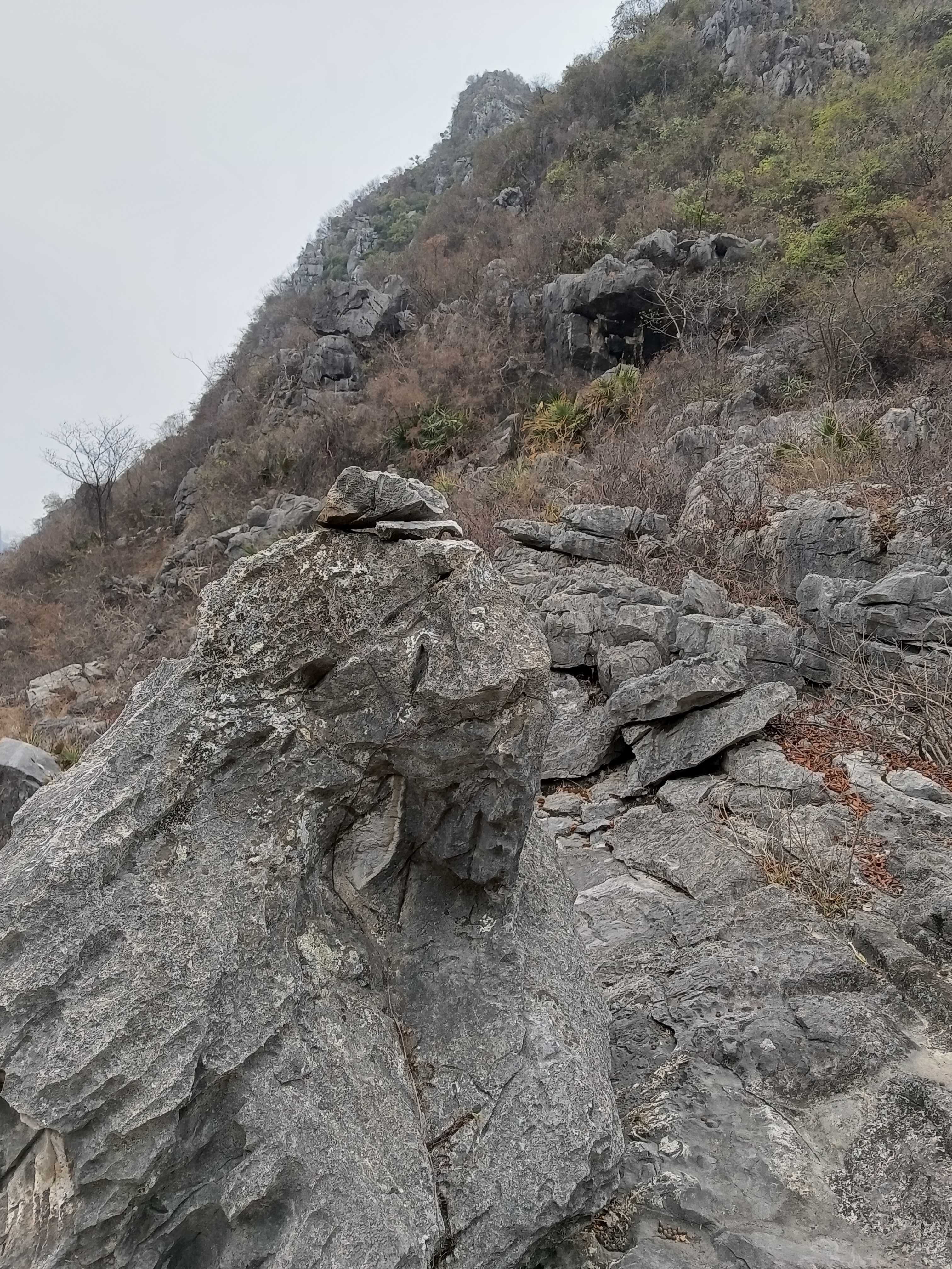 IMG_20230126_112106.jpg