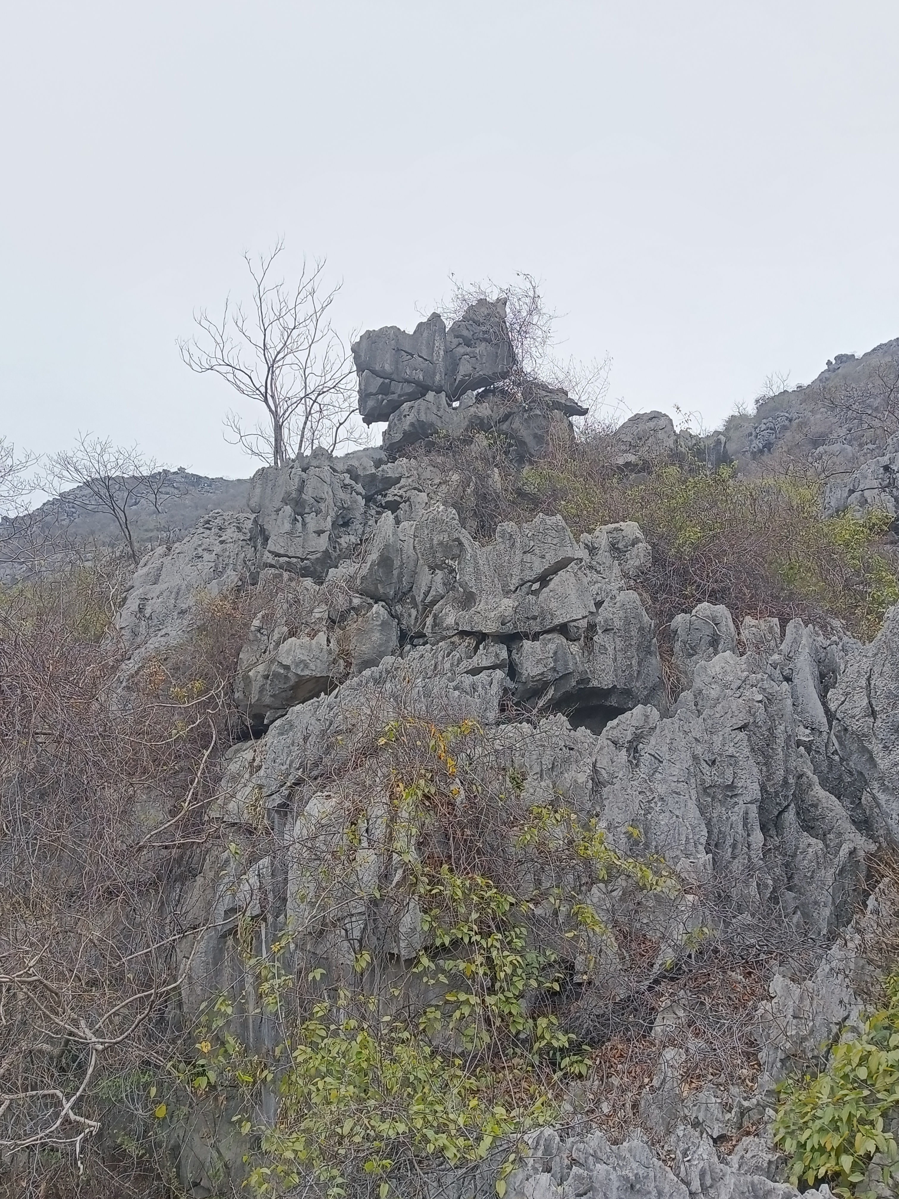 IMG_20230126_124900.jpg