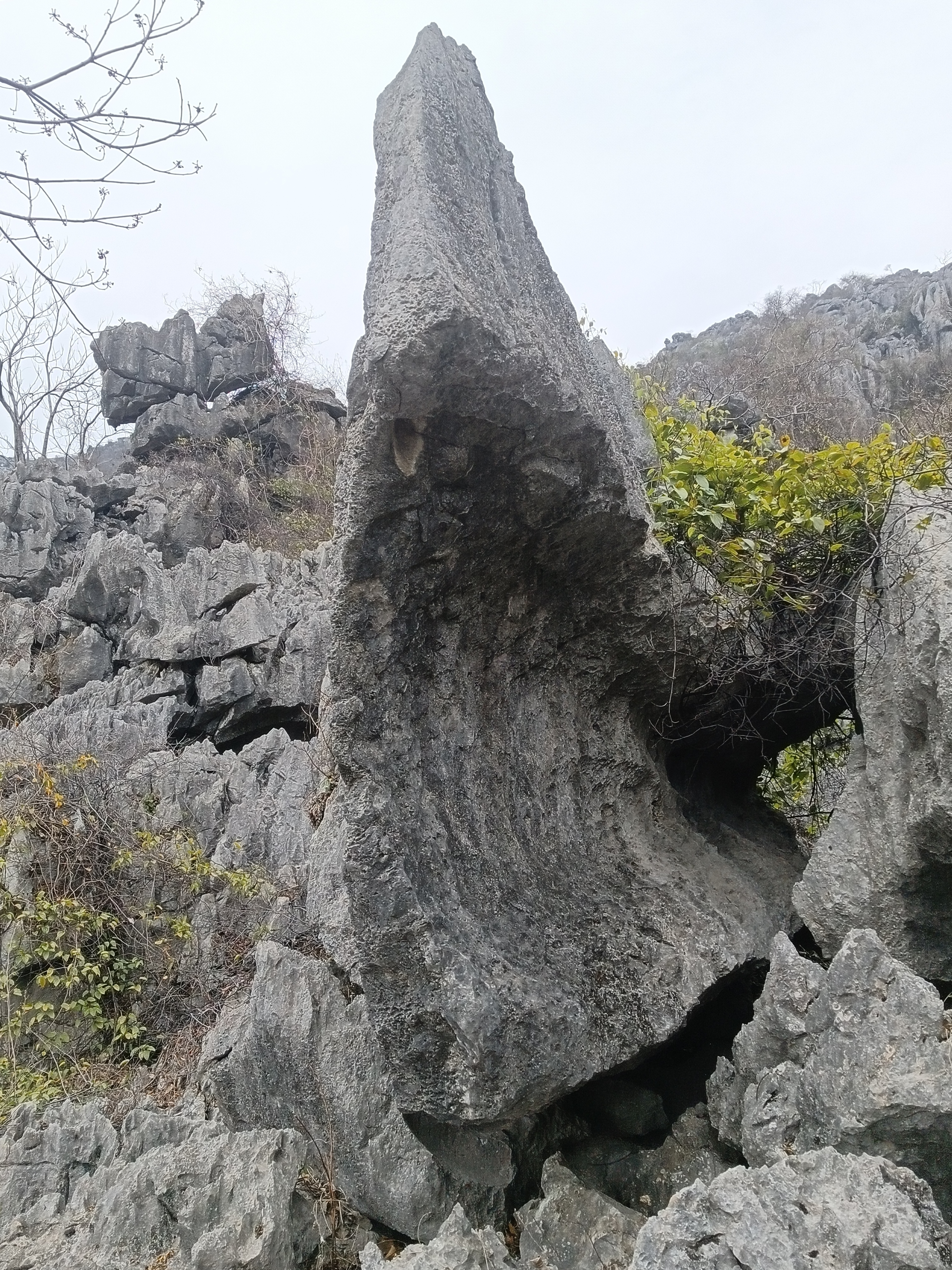 IMG_20230126_125002.jpg