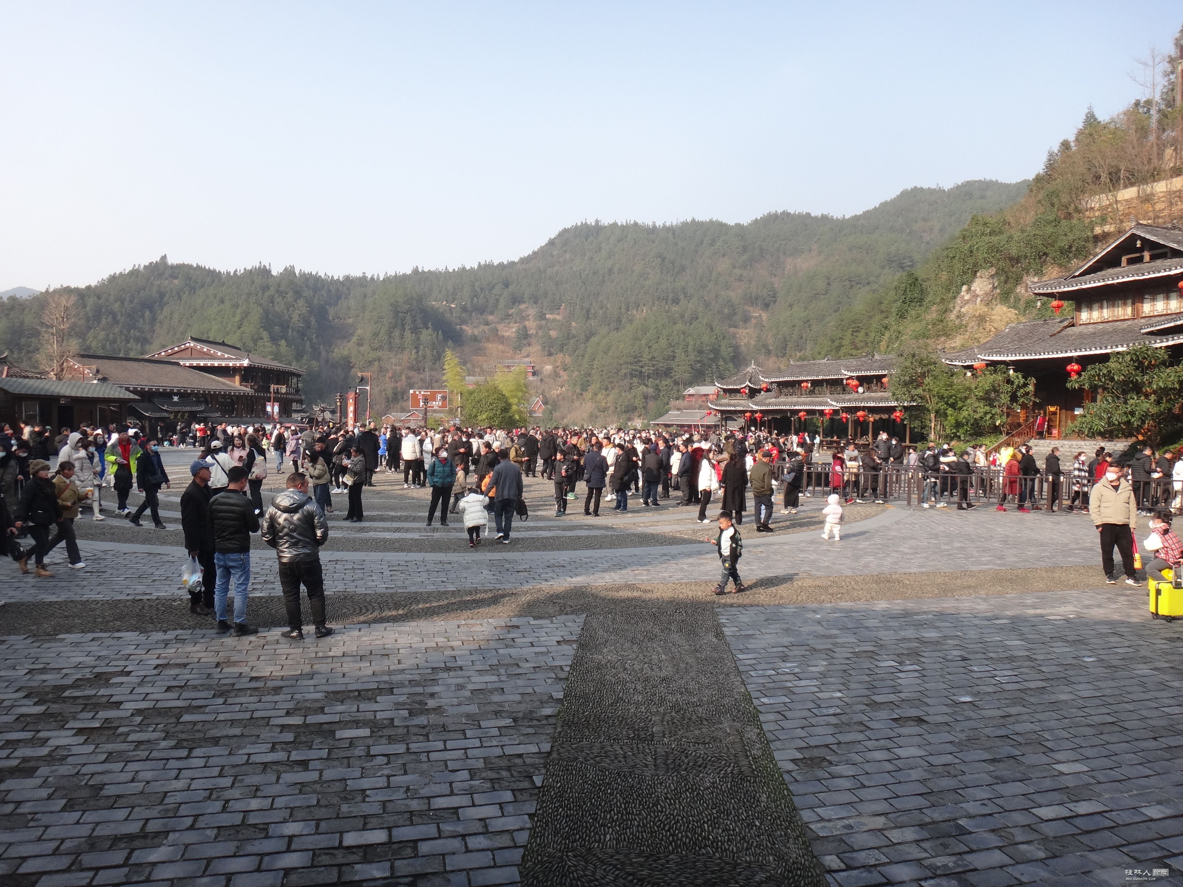 DSC03113.JPG