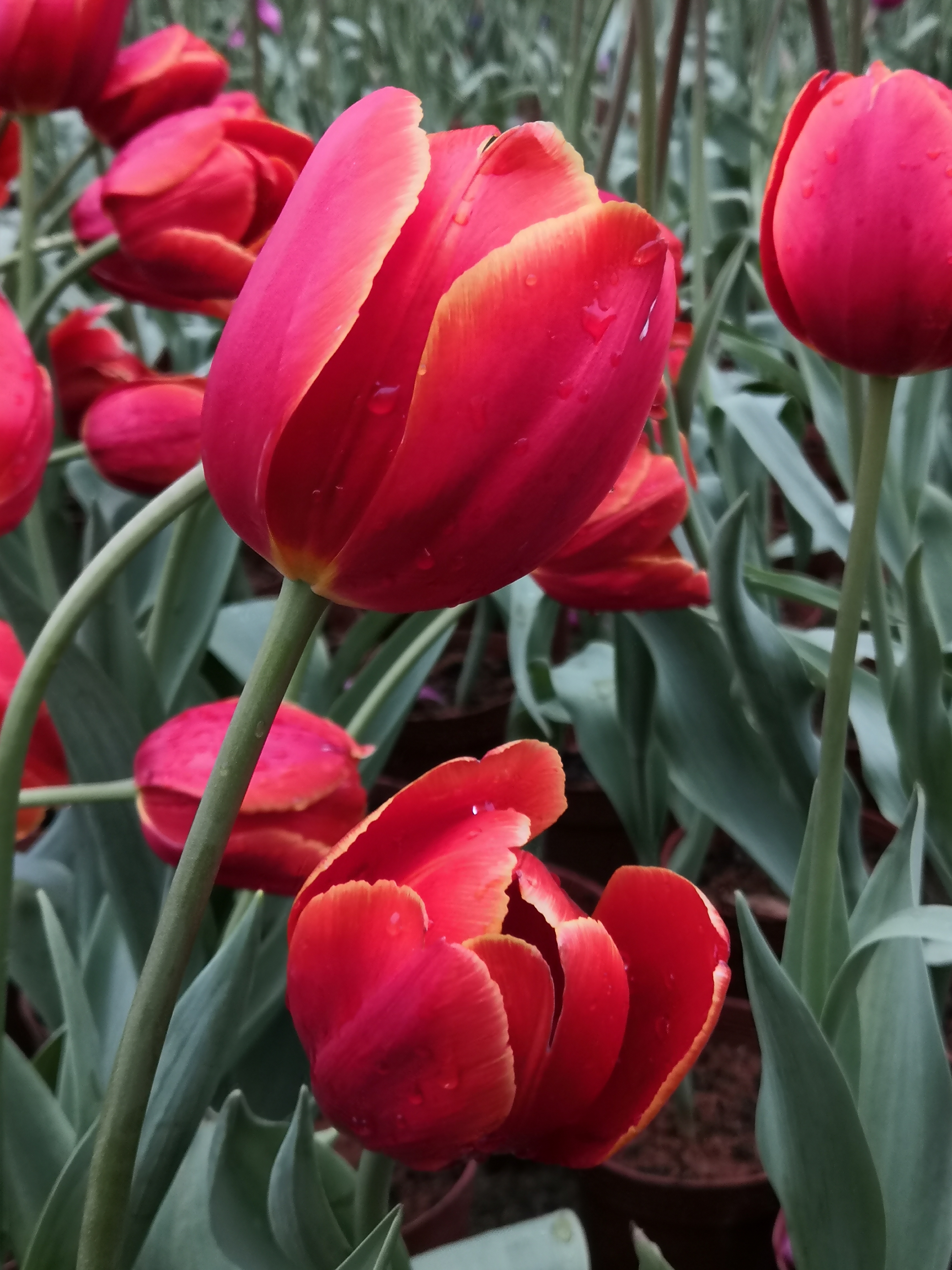 IMG_20230127_095509.jpg